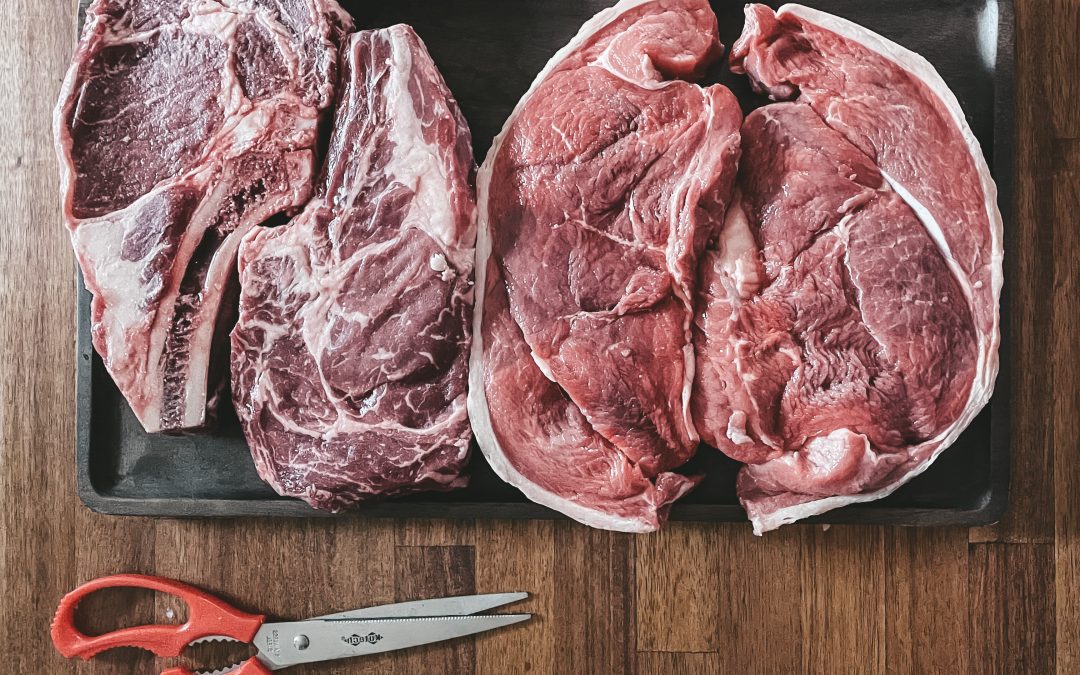 Why I stopped eating vegetables: Carnivore Q&A